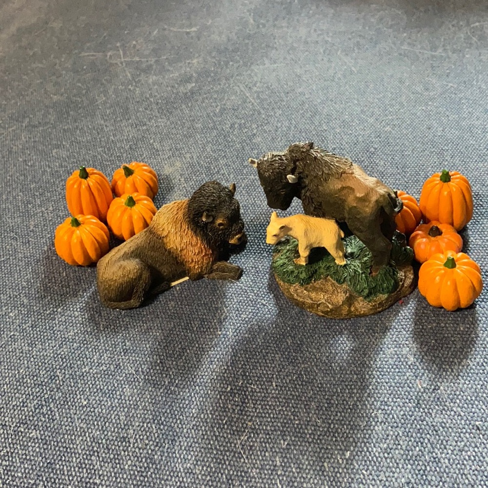 Living Stone Bison Family and Pumpkins